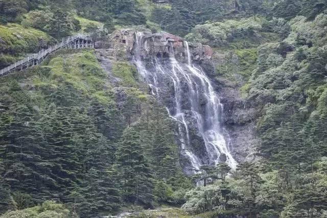 地球守护者
